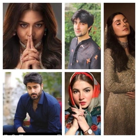 Pakistani overrated actors